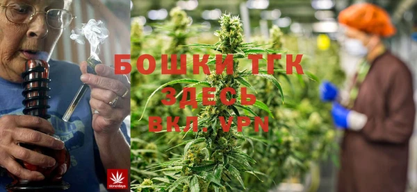экстази Арсеньев