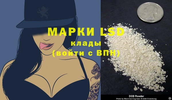 мяу мяу мука Аркадак